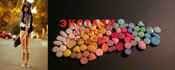 шишки Лабытнанги