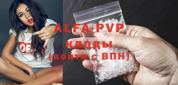 шишки Лабытнанги