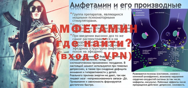 шишки Лабытнанги