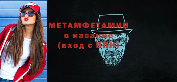 шишки Лабытнанги