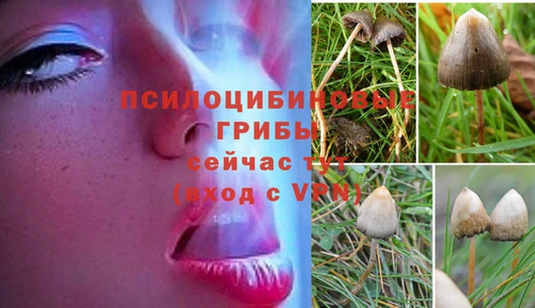 первитин Лагань