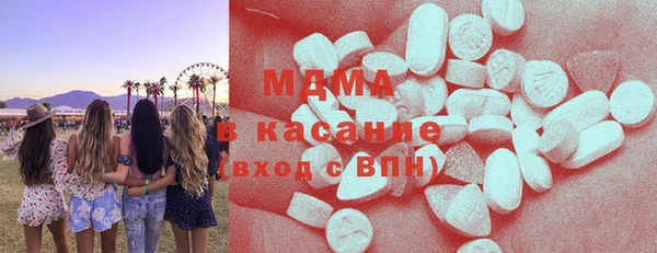 шишки Лабытнанги