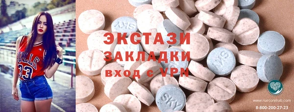 шишки Лабытнанги