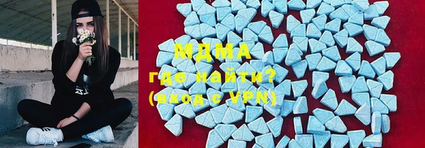 шишки Лабытнанги