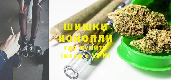 шишки Лабытнанги