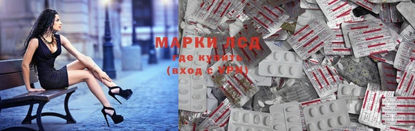 шишки Лабытнанги