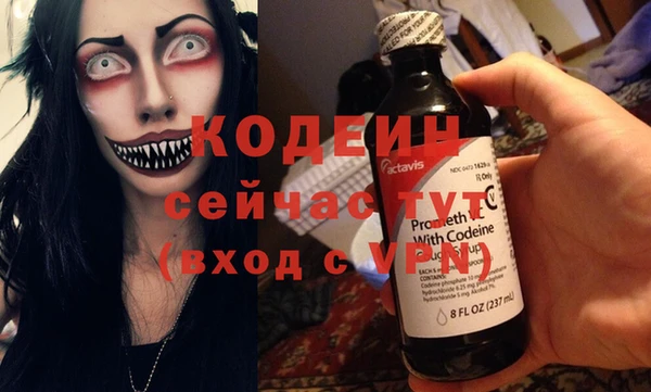 шишки Лабытнанги