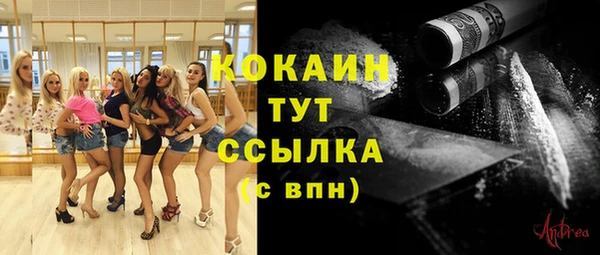шишки Лабытнанги