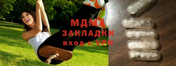 шишки Лабытнанги