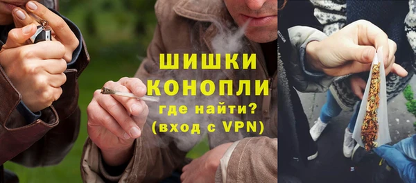 шишки Лабытнанги